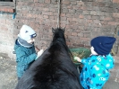 Reiten